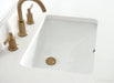 Austin-24 Walnut Vanity - Open Storage and Undermount Sink Detail