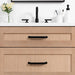 Bre02C 1 D2F2D308 4E51 4590 A9F6 1De1Ae1Cb241 - High-End Bathroom Vanity - Facility Supply Pro Canada