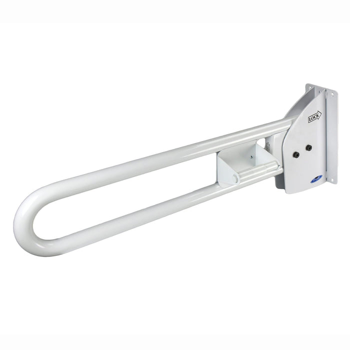 White swing up stainless steel grab bar with toilet paper holder 1055-FTW