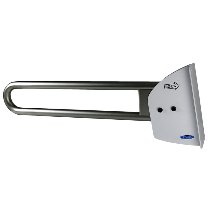 Peened grip swing up grab bar with concealed mounting