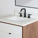 Sidney 24" Vanity – Gloss White – Hardware Close-Up (SI6BC0)